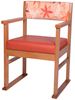 Picture of Apollo Carver chair with skis (X-Grade)